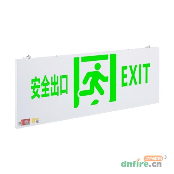 DJ-BLJC-III1LROE3W-01J-TS大标志灯具,东君,消防应急疏散指示灯