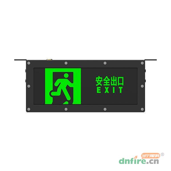 J-BLJC-2OEⅠ0.5W-12S2A集中电源集中控制型消防应急标志灯具,青鸟消防,消防应急疏散指示灯