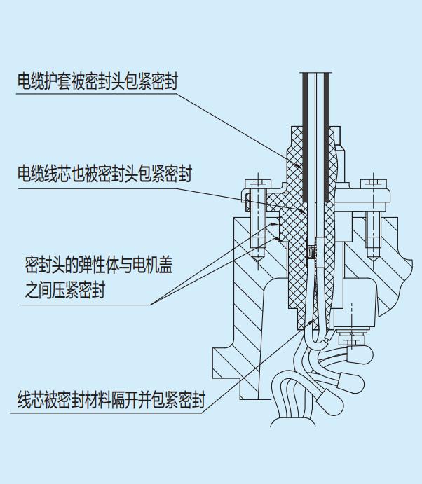 WQ/E系列小型潜水排污泵结构电缆密封头