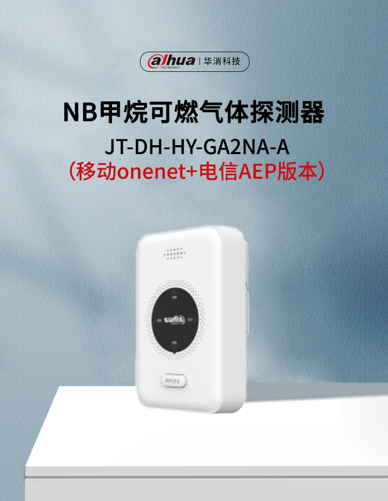 JT-DH-HY-GA2NA家用可燃气体探测器产品展示